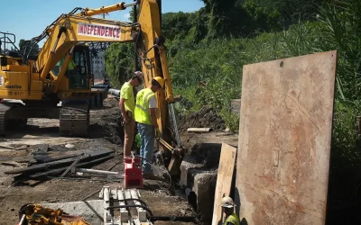 Featured Position: Apprentice